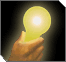 Parshah Thought: Emor