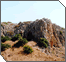 Eliyahu on Mt. Carmel