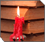 Av 15: The Crown of Torah