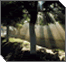The 7UP Obligation