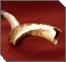 The Month of Elul