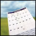 When is the next Sabbatical Year?