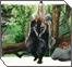 The Roots of Chassidus (2)