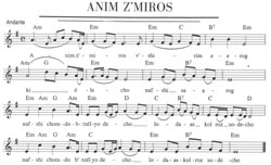 Musical Notes