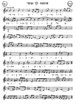 Musical Notes