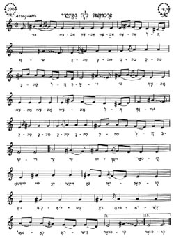 Musical Notes