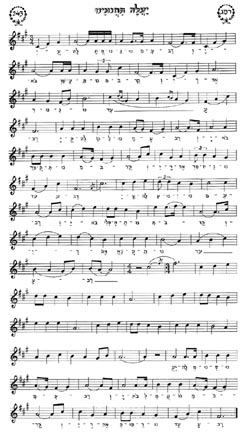 Musical Notes