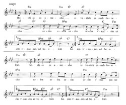 Musical Notes