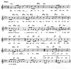 Musical Notes