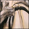 My Father's Tzitzis